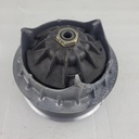 CF00900