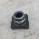 CF02313