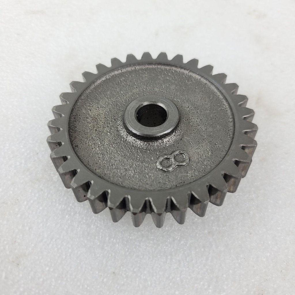 [CF01324] middle gear (CF01324)
