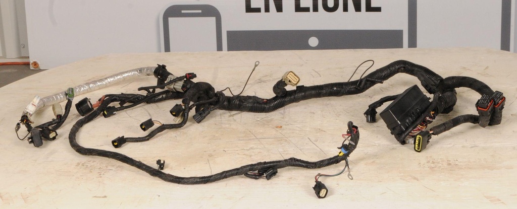 Harness, Main (inc. 8-16)