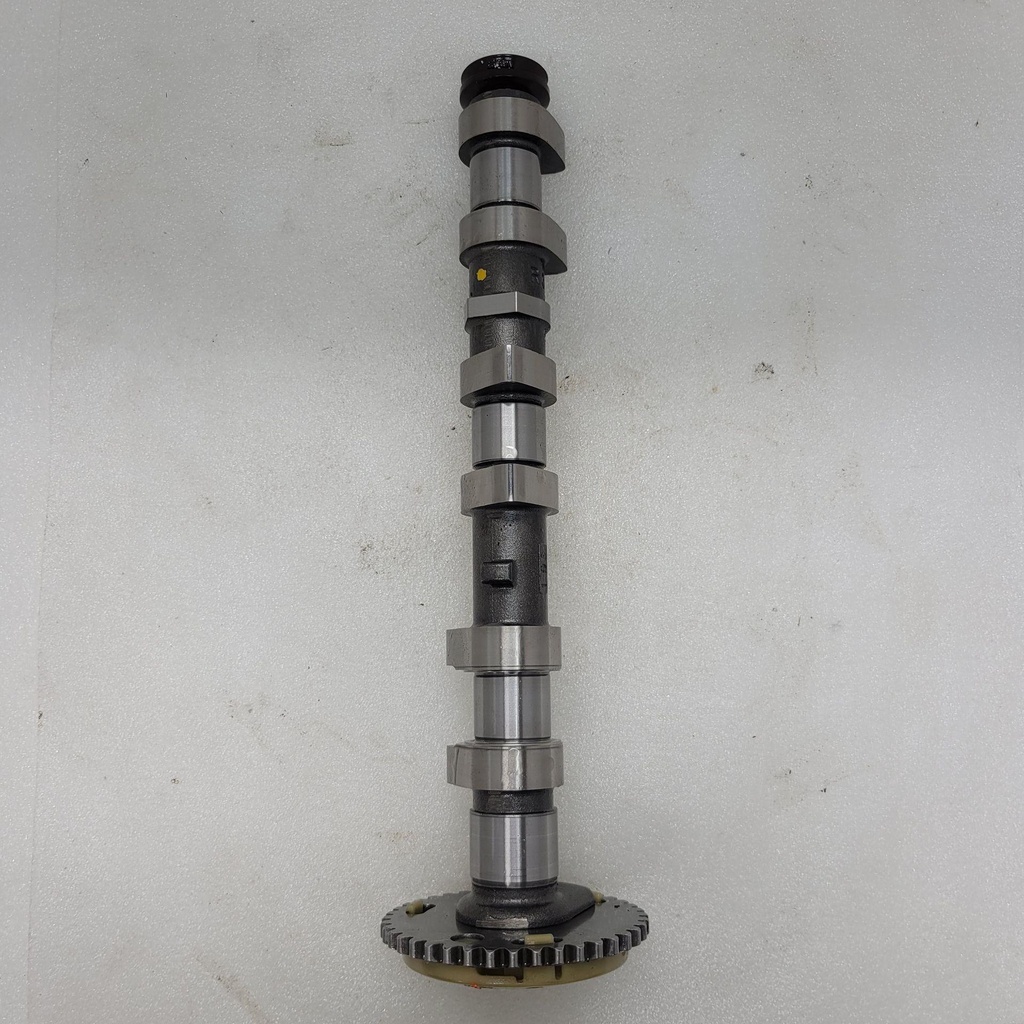 [420820215-001] (new ref. 420820217) camshaft exhaust