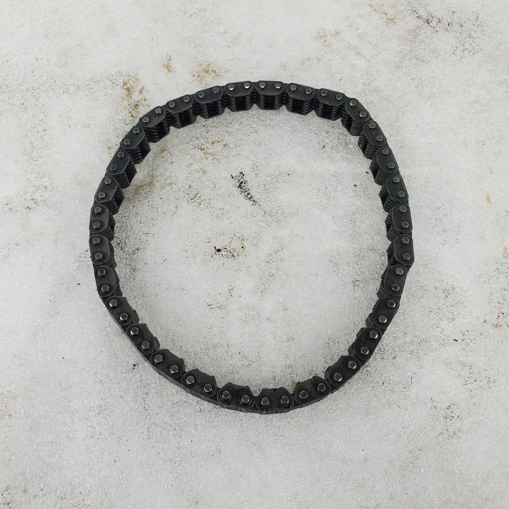 [420898532-001] chain