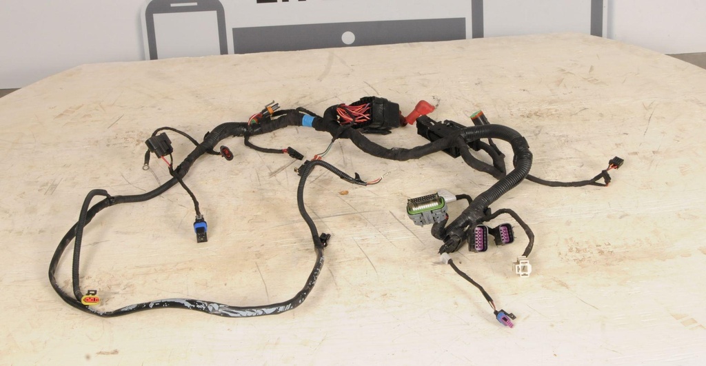 Main Harness Ass'y