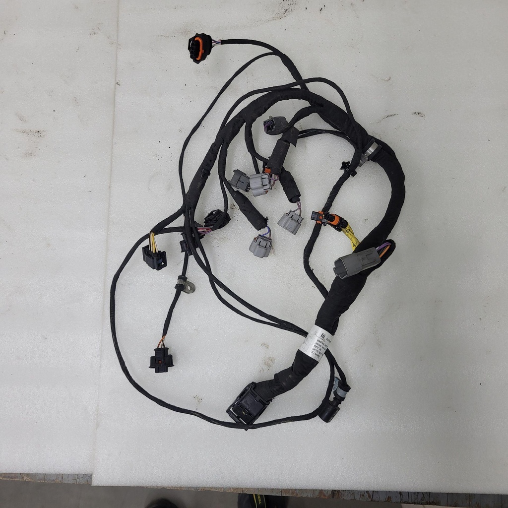 [420266798-001] Wiring Harness