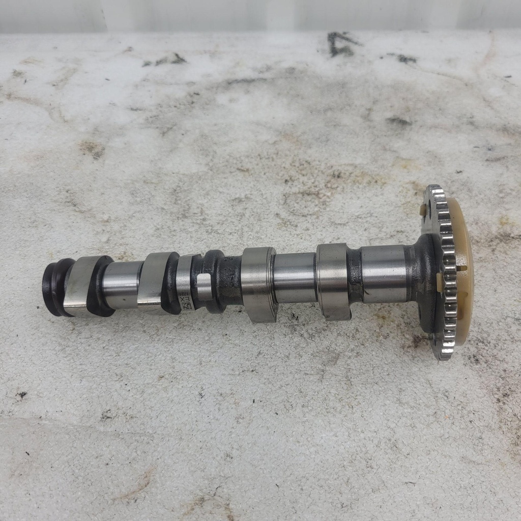 [420820113-001] camshaft exhaust