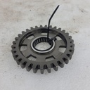 pigion gear, 31 teeth