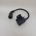 COIL ASSY, IGNITION