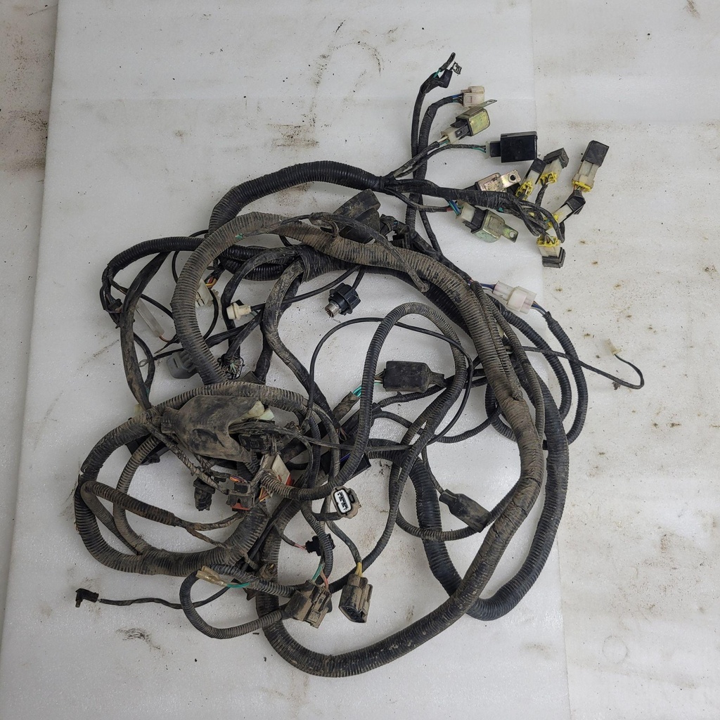 MAIN CABLE