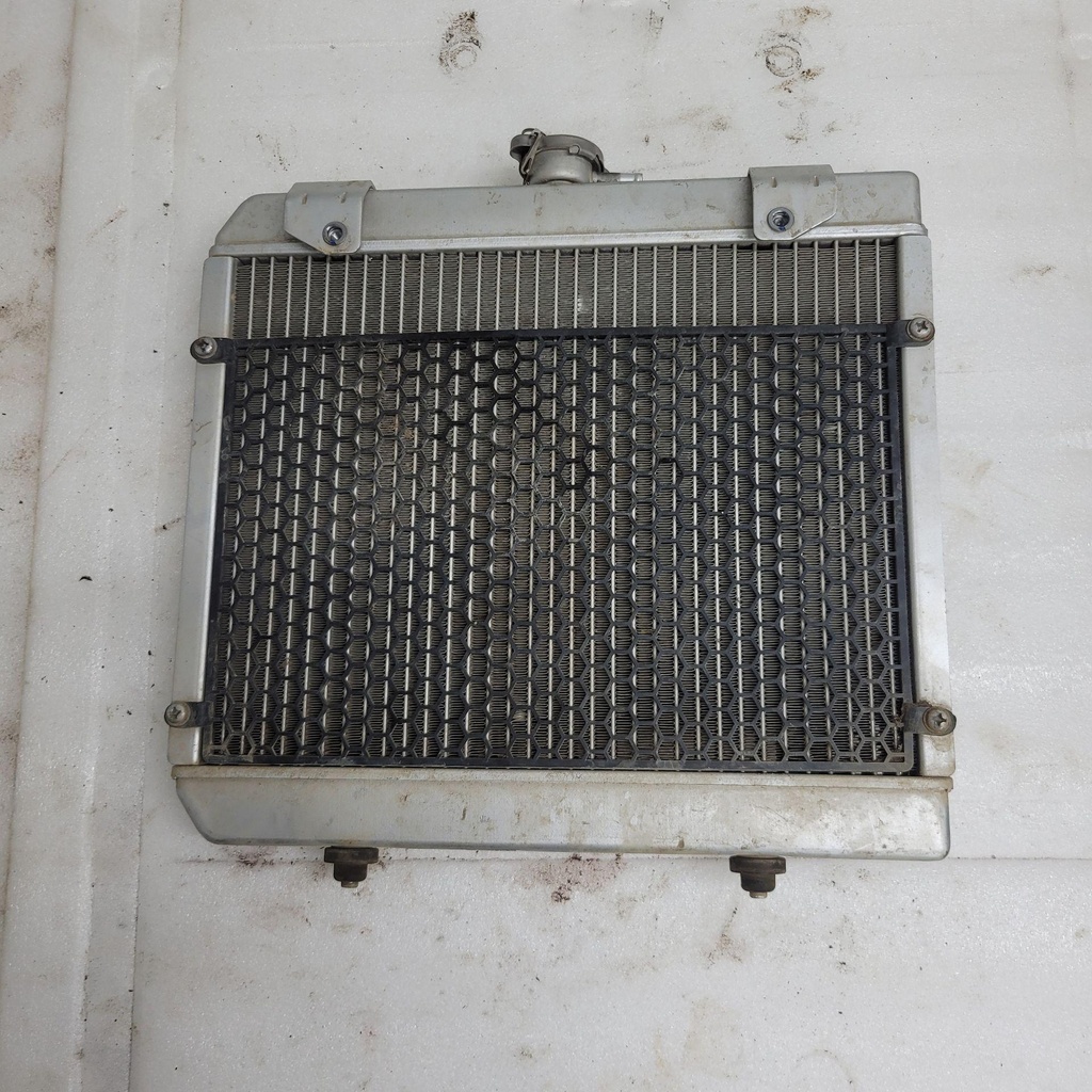 [CF00482] (new ref. 9dsv-181100-6002) radiator (CF00482)
