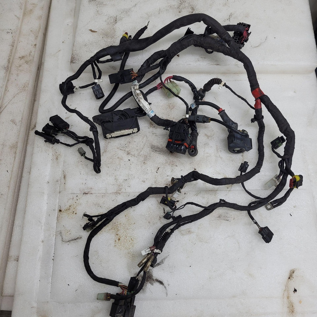 [51016981B-001] wiring harness