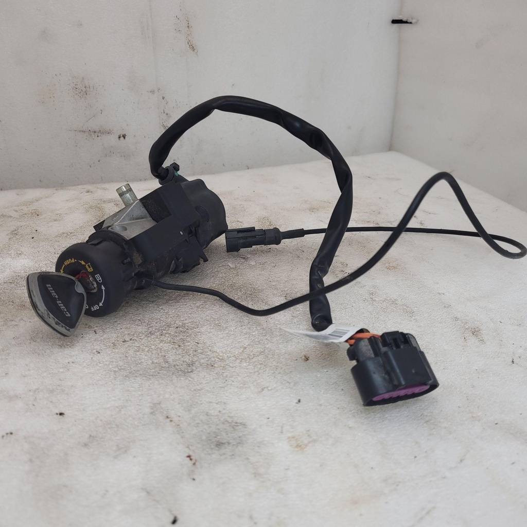 [710002968-001] ignition module switch (710002968-001)