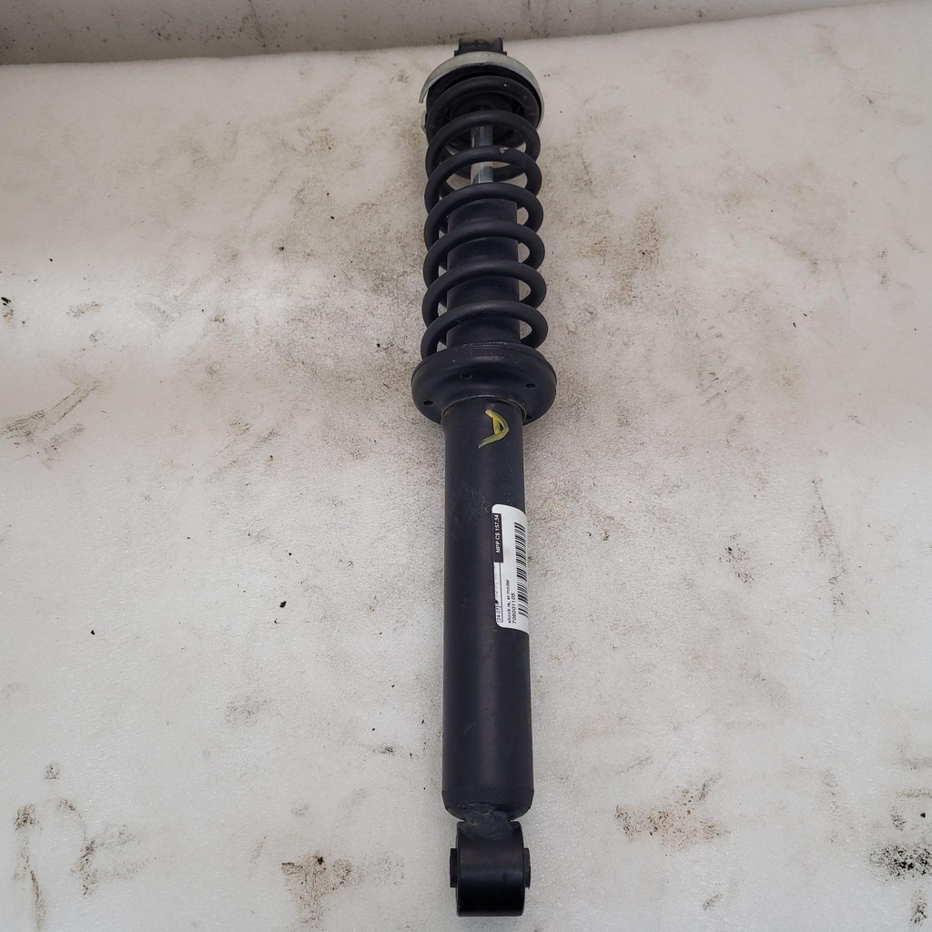 shock rs, st model