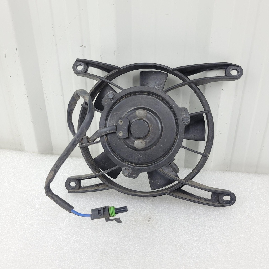 fan