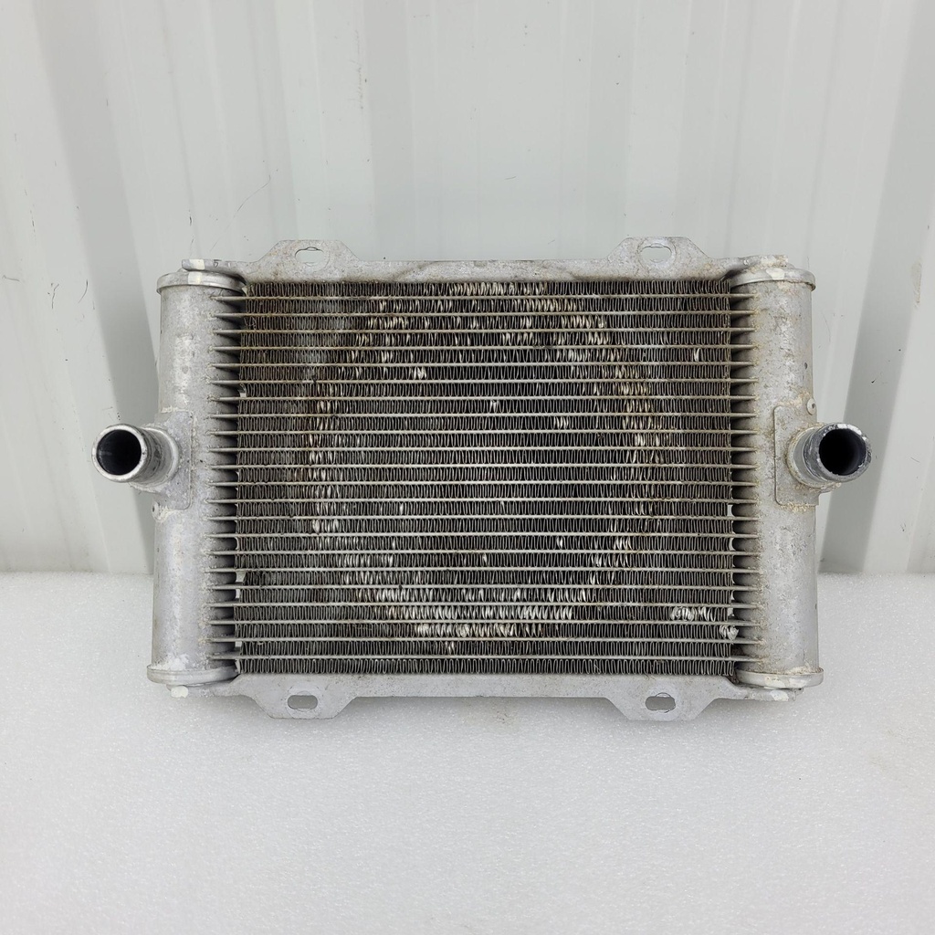 [709200529-001] radiator (709200529-001)
