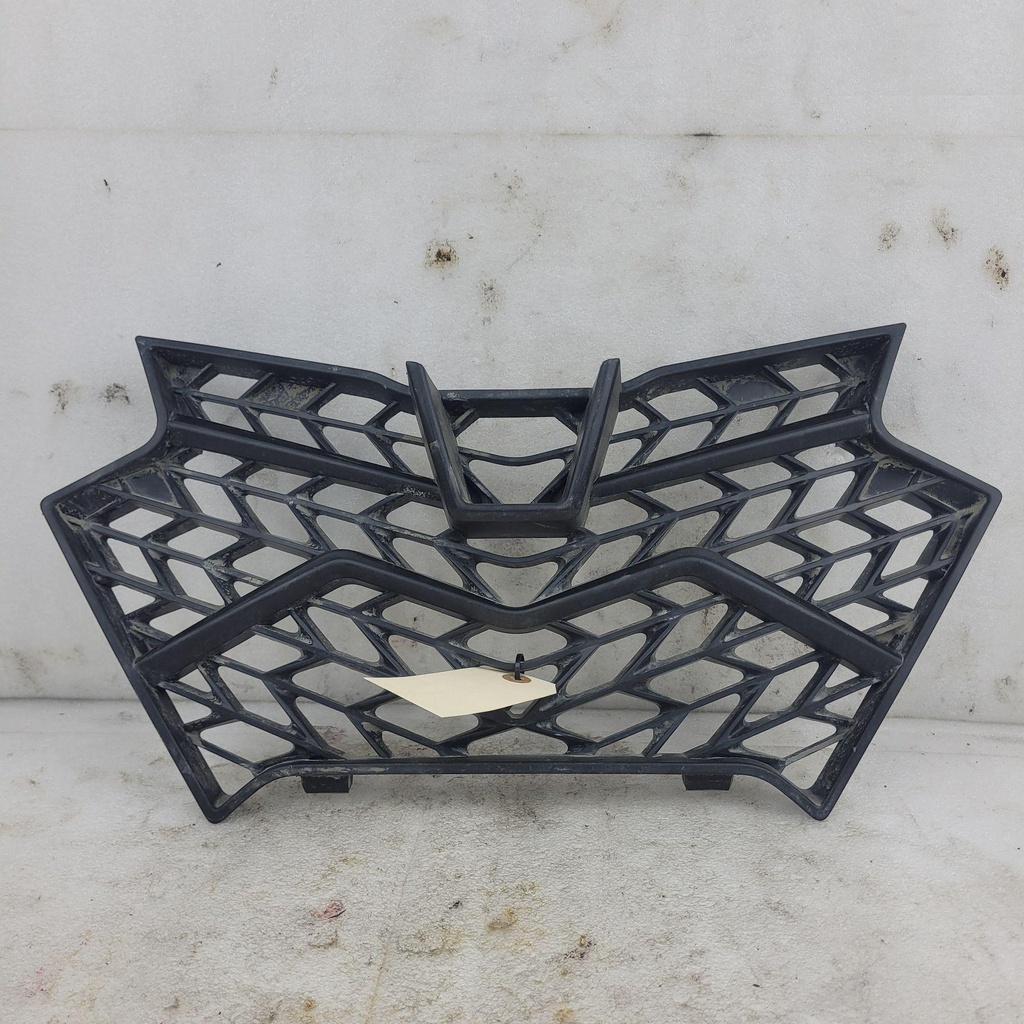[CF02431] headlight panel grid (CF02431)