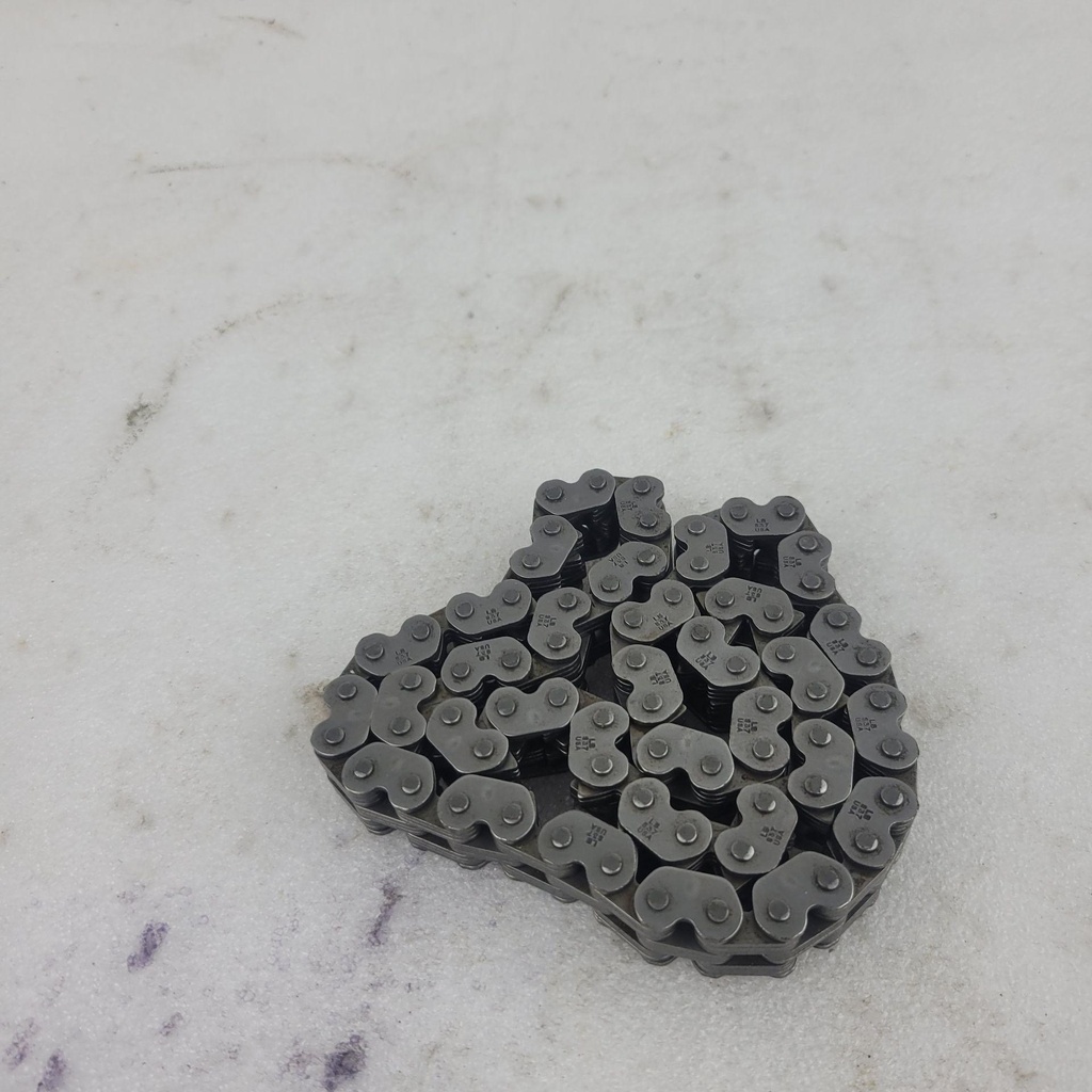 Chaincase Chain