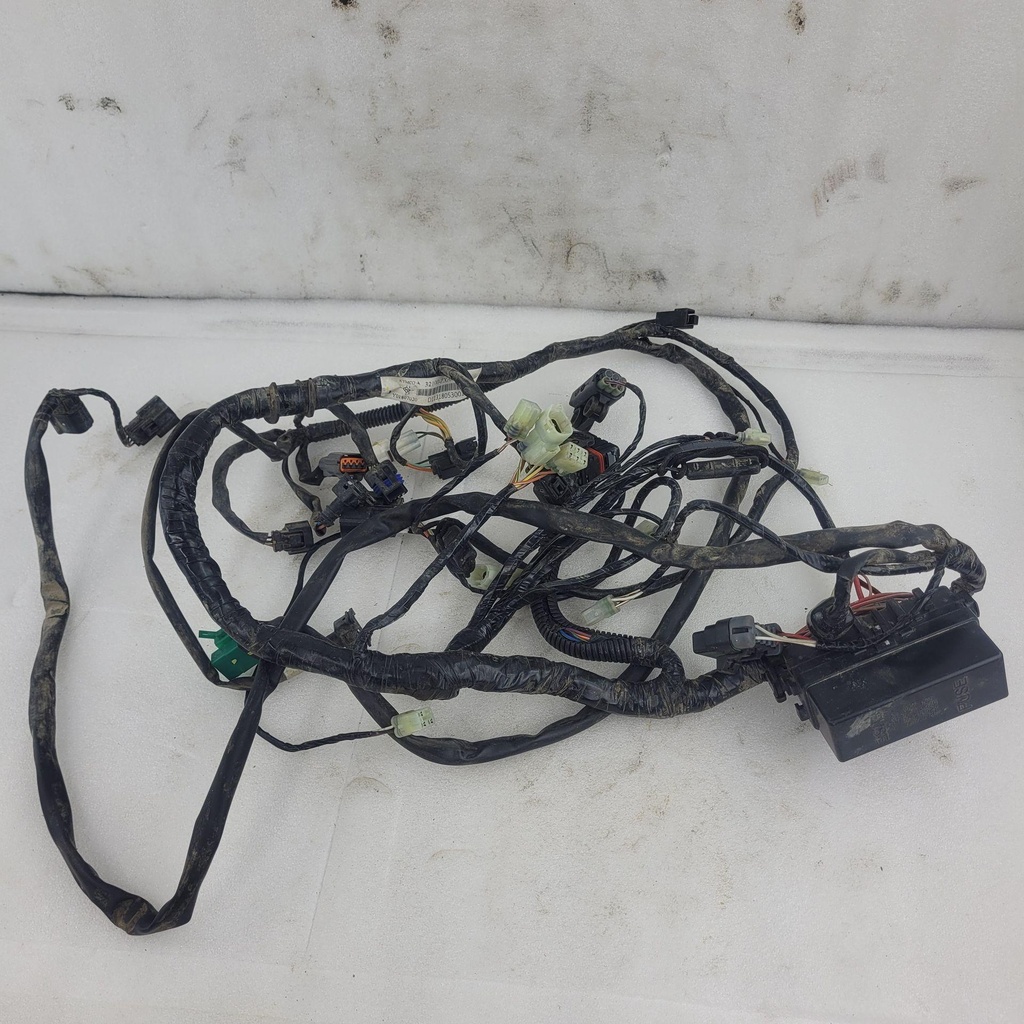 harness, main (inc. 2-6)