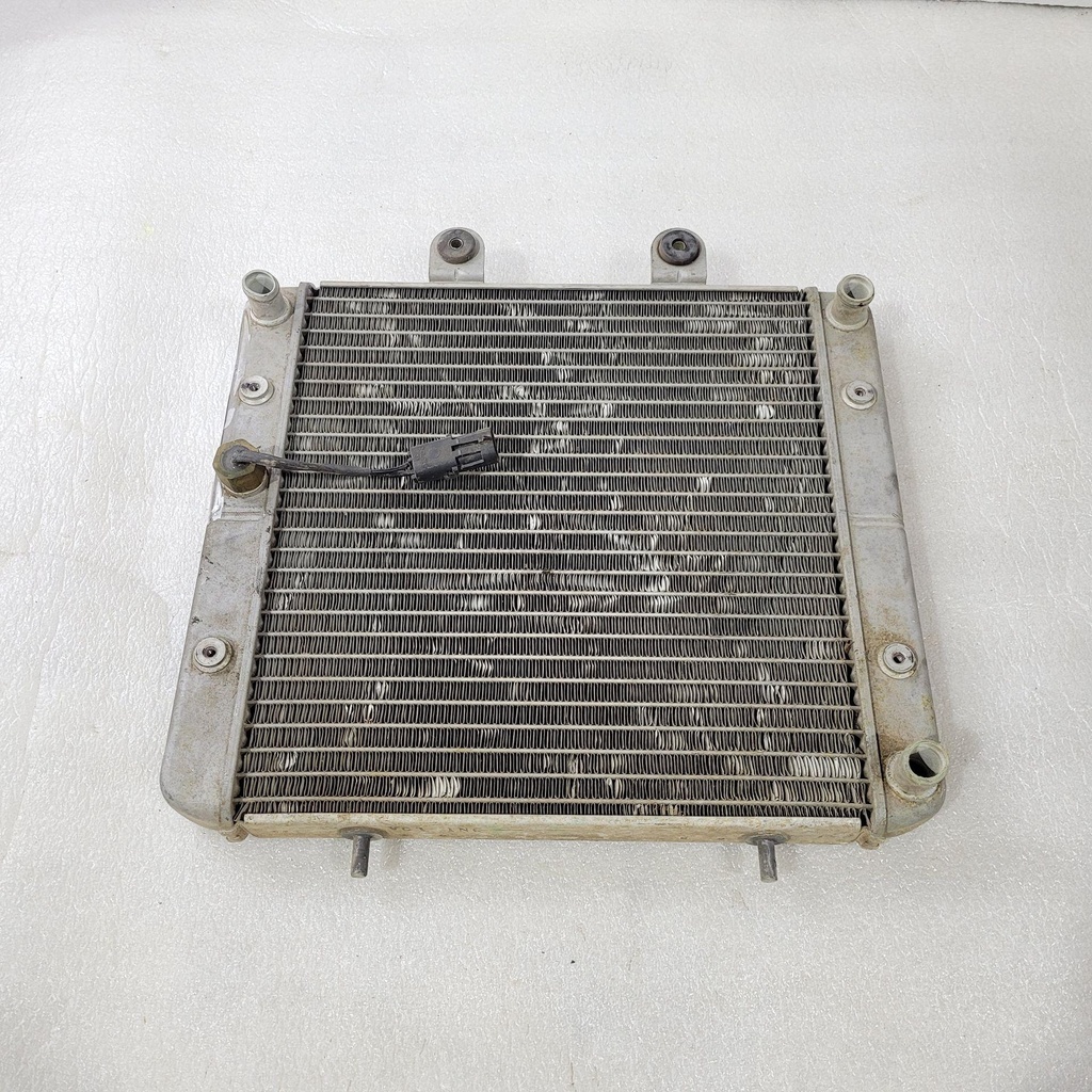 VGT CARB RADIATOR ASSEMBLY, 324