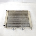 ASM-RADIATOR,CORE