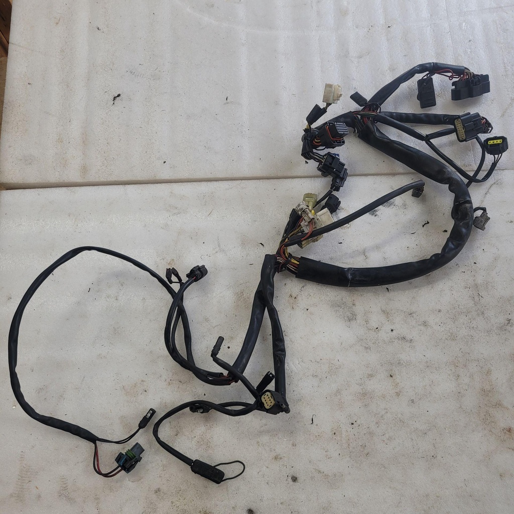 [1686-390-001] Harness, Main
