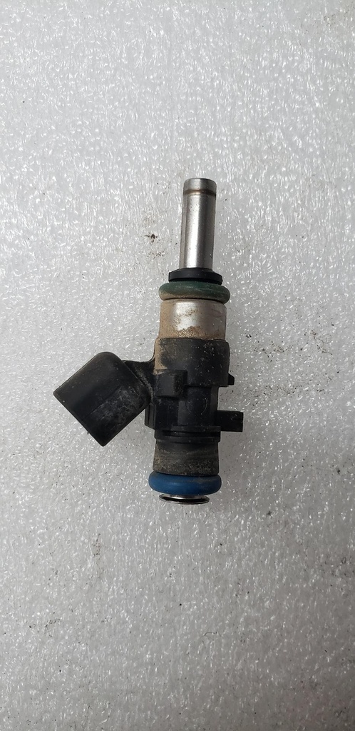[2521387-001] fuel injector (2521387-001)