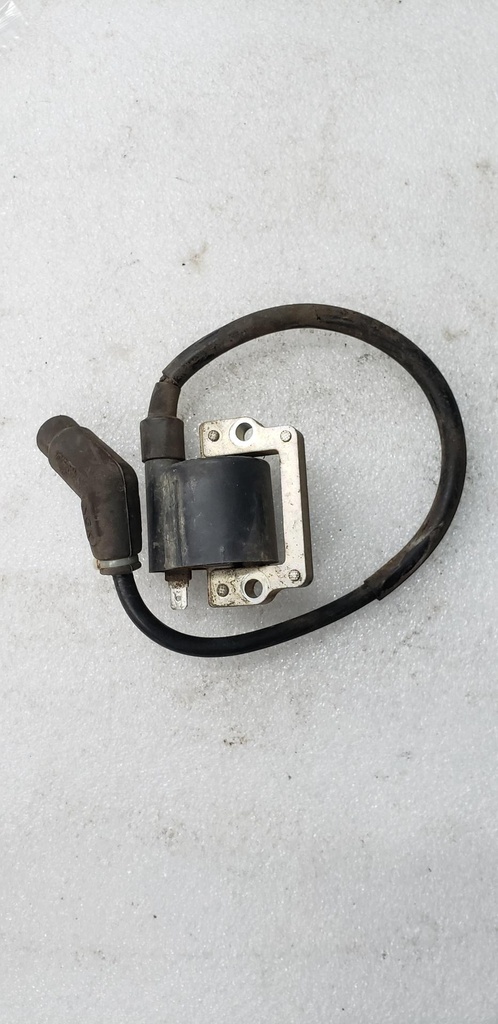 [420265358-001] ignition coil ass'y (420265358-001)