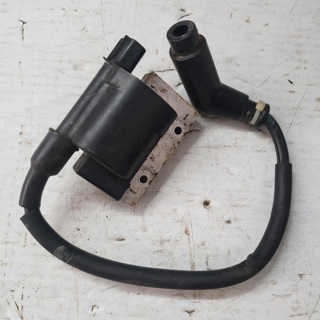 BOMBARDIER COIL - 420665715