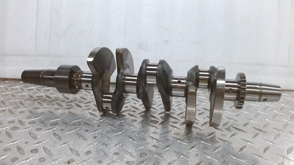 [420819786-001] crankshaft ass'y (420819786-001)