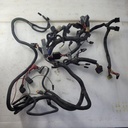 Frame Harness Ass'y