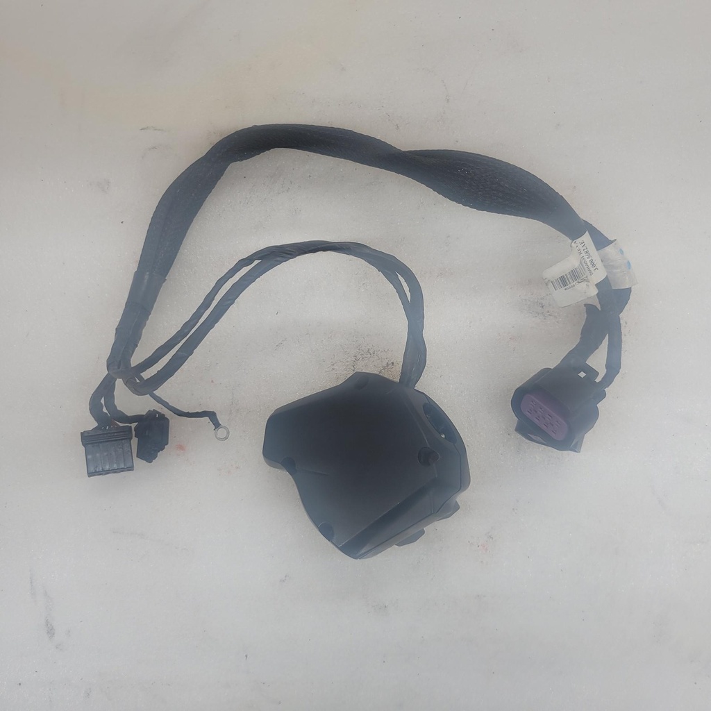 [515177613-001] LH Switch Housing (515177613-001)