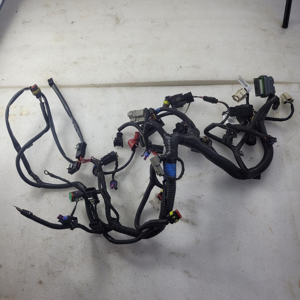 main harness