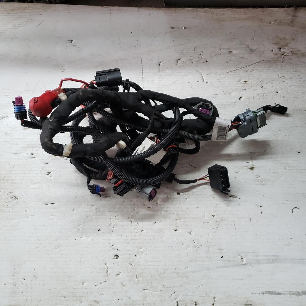 Main Harness