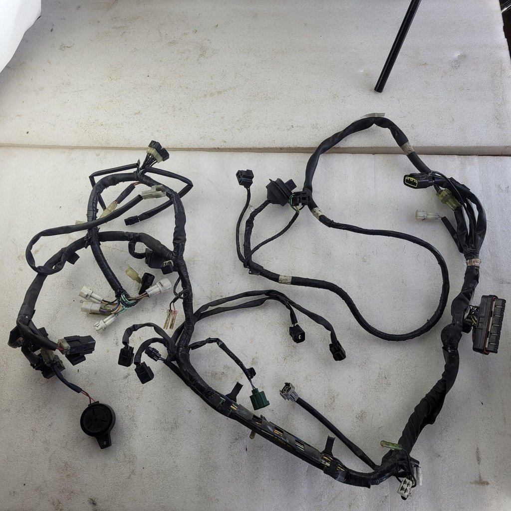 Wire Harness Assy