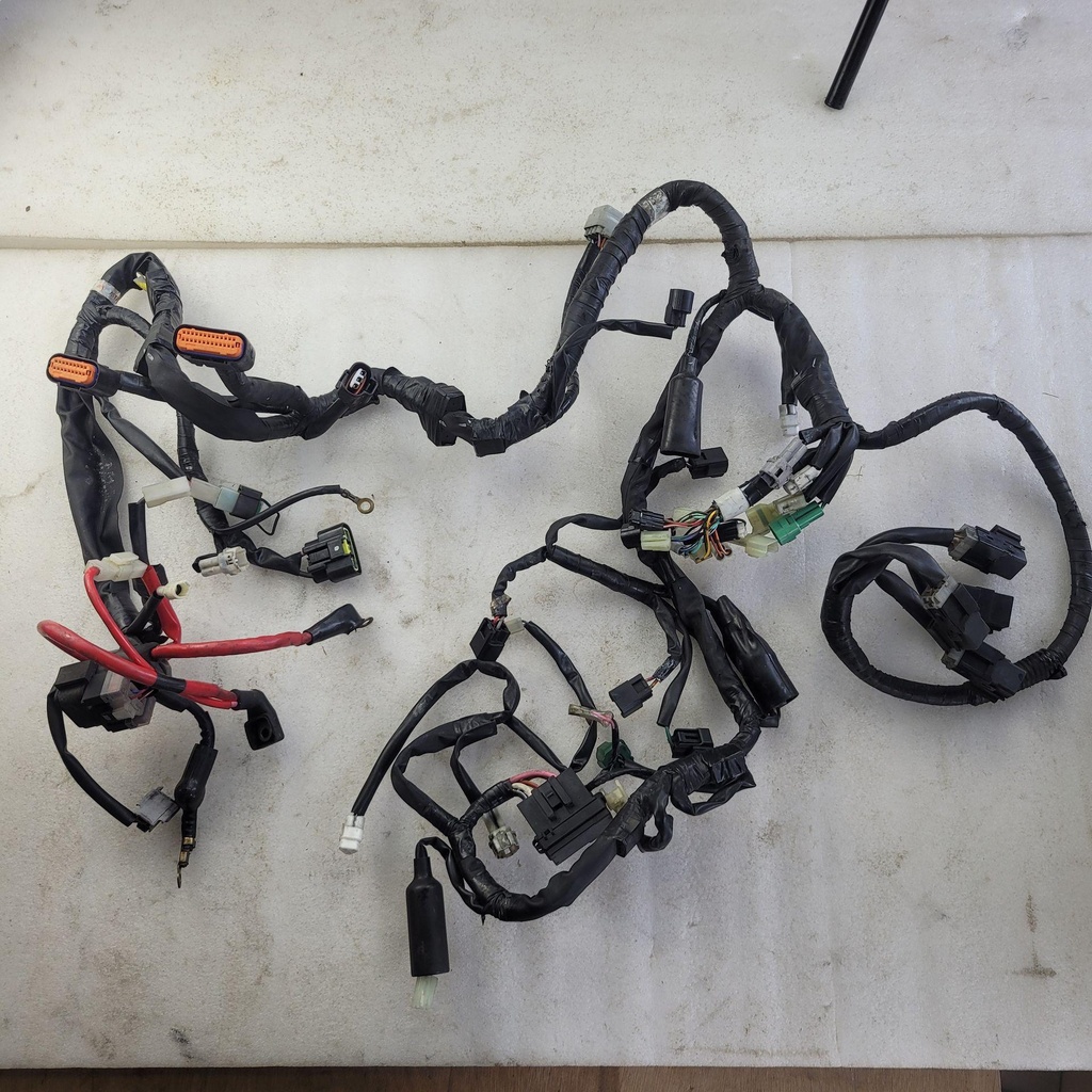 Wire Harness Assy LTYR (8FT7)