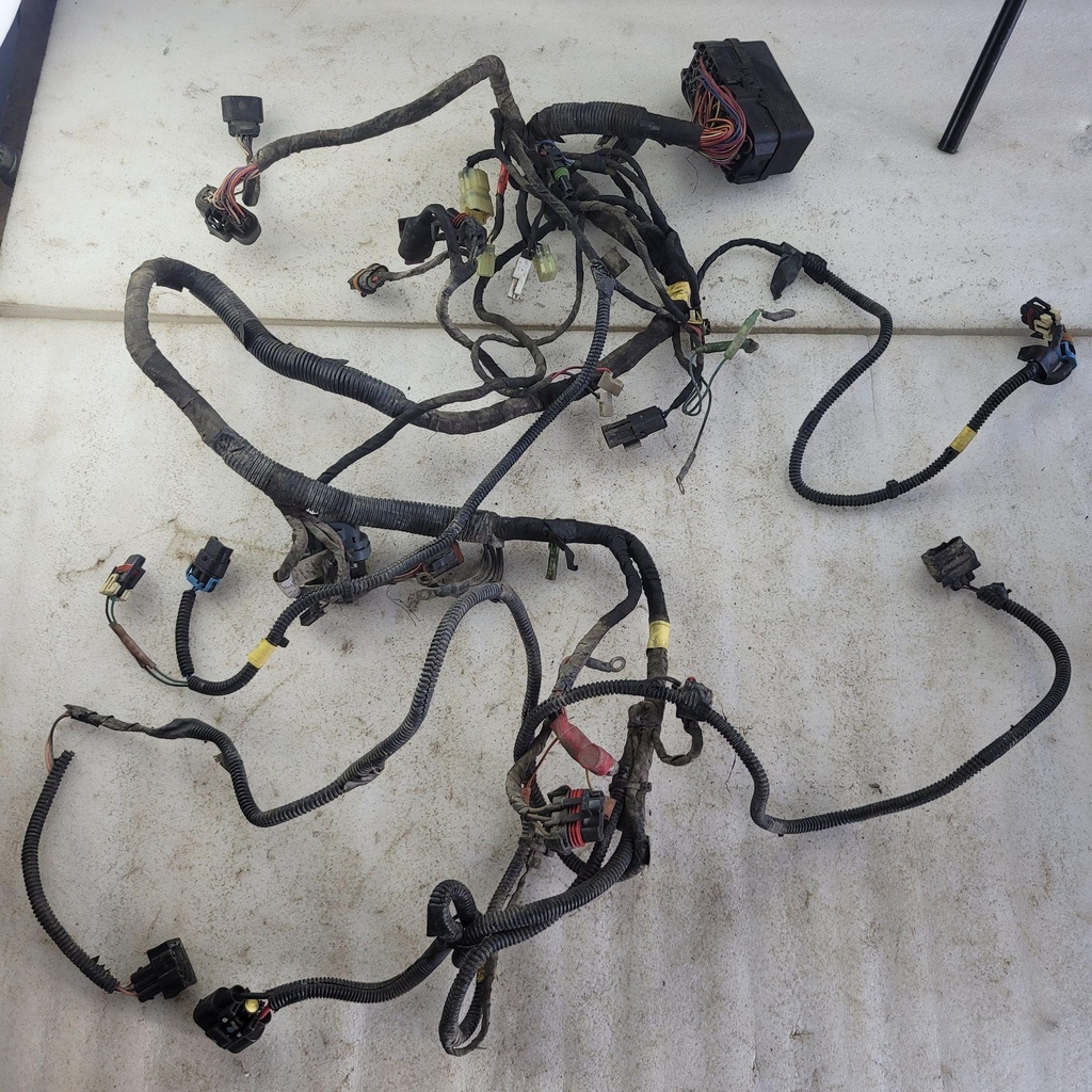 [710004842-001] harness ass'y model europe, t3