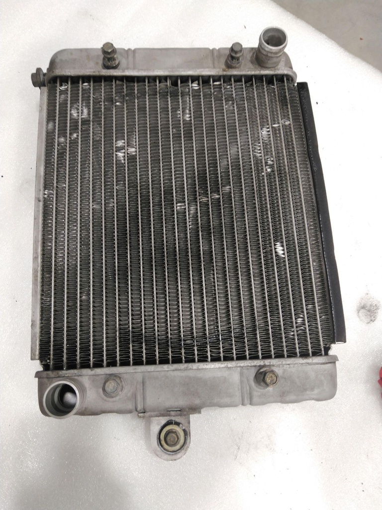 [709200128-001] radiator (709200128-001)