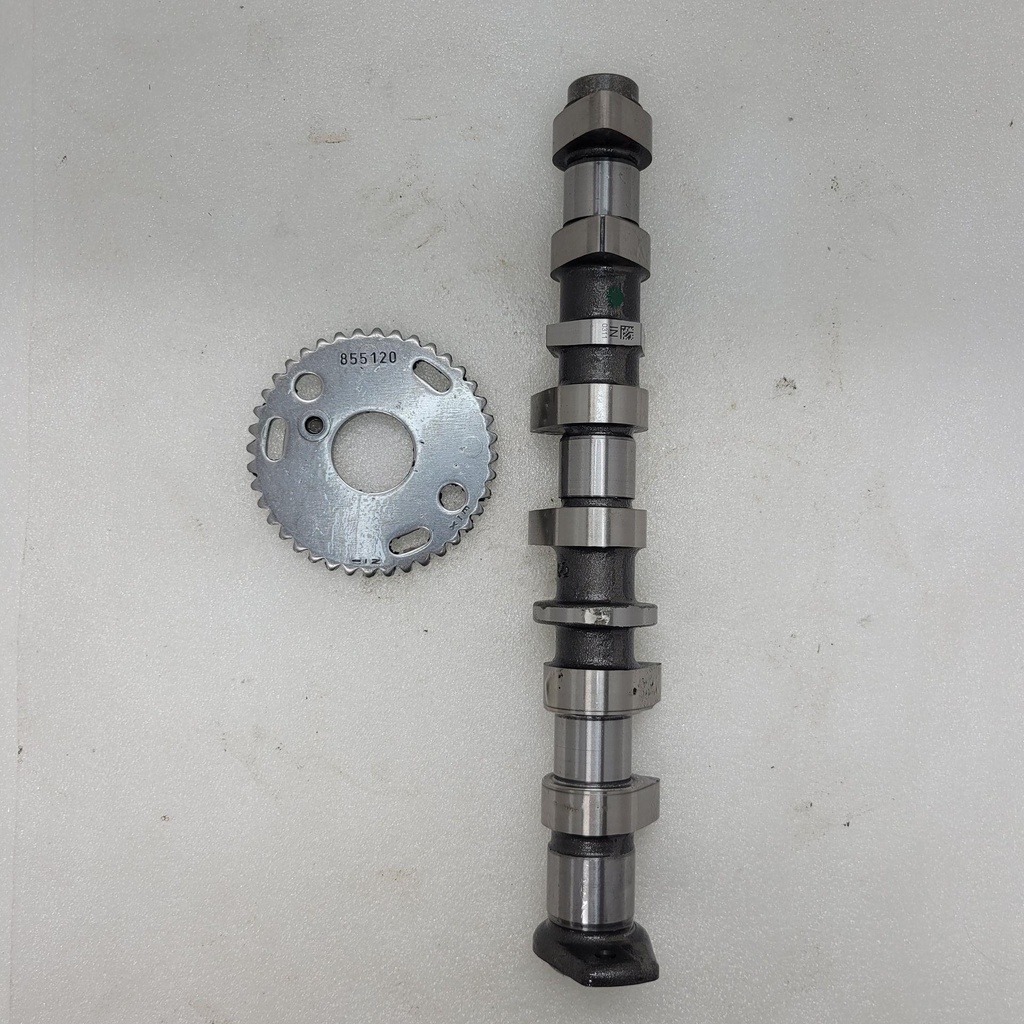 [420820200-001] camshaft intake